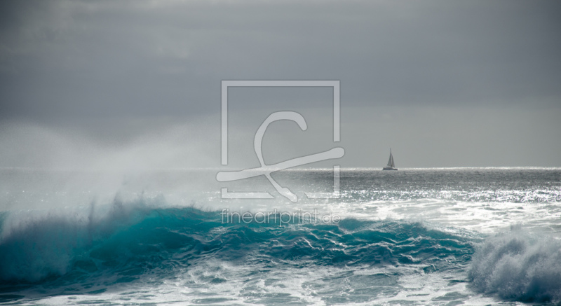 frei wählbarer Bildausschnitt für Ihr Bild auf Fensterfolie