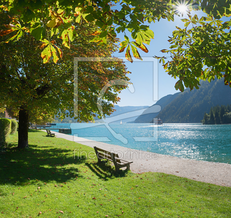 frei wählbarer Bildausschnitt für Ihr Bild auf Fensterfolie