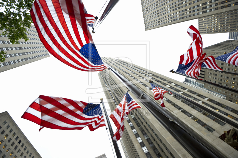 frei wählbarer Bildausschnitt für Ihr Bild auf Fensterfolie