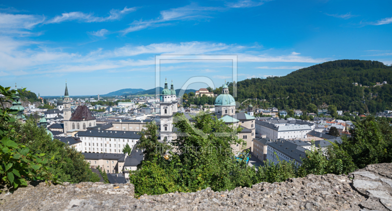 frei wählbarer Bildausschnitt für Ihr Bild auf Fensterfolie