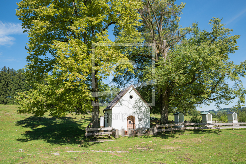 frei wählbarer Bildausschnitt für Ihr Bild auf Fensterfolie