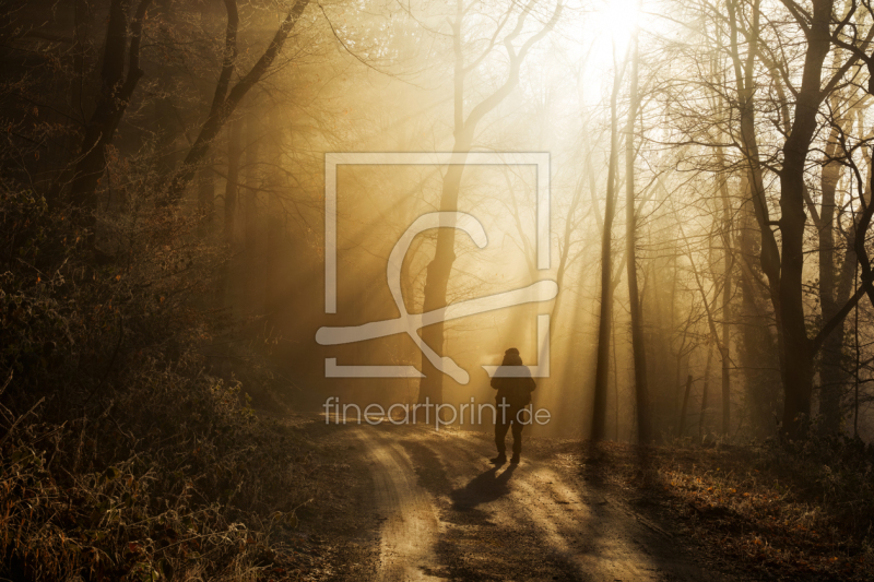 frei wählbarer Bildausschnitt für Ihr Bild auf Fensterfolie