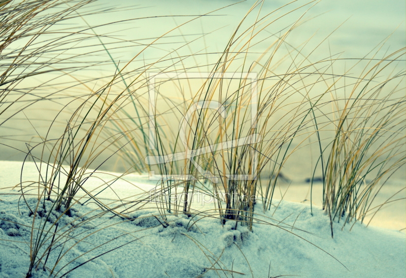 frei wählbarer Bildausschnitt für Ihr Bild auf Fensterfolie