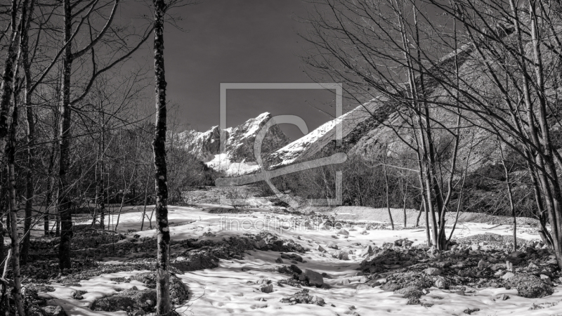 frei wählbarer Bildausschnitt für Ihr Bild auf Fensterfolie