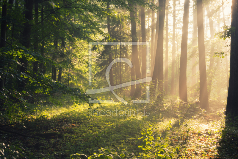 frei wählbarer Bildausschnitt für Ihr Bild auf Glas-Schneidebrett