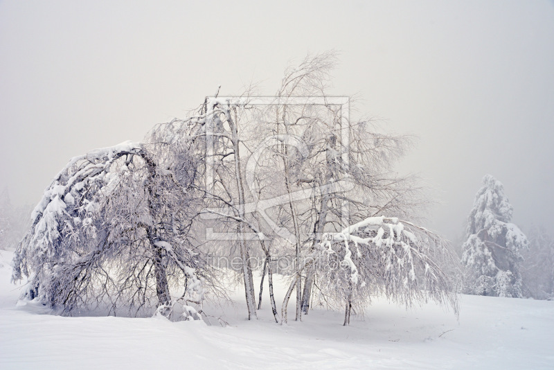 frei wählbarer Bildausschnitt für Ihr Bild auf Glas-Schneidebrett