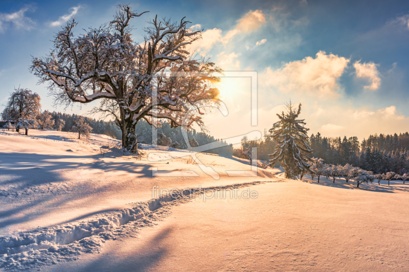 frei wählbarer Bildausschnitt für Ihr Bild auf Glas-Schneidebrett