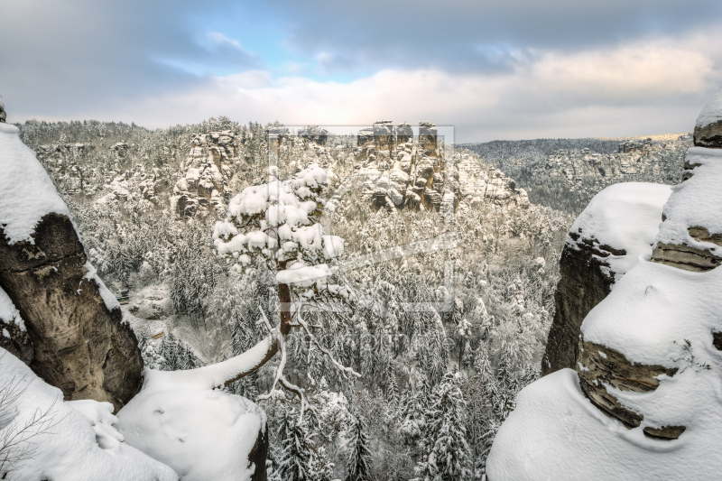 frei wählbarer Bildausschnitt für Ihr Bild auf Glas-Schneidebrett