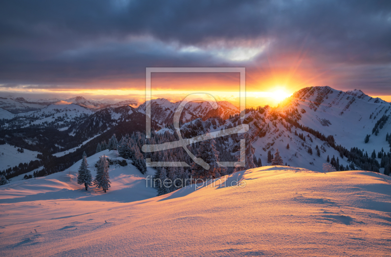 frei wählbarer Bildausschnitt für Ihr Bild auf Glas-Schneidebrett