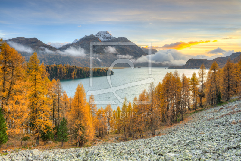 frei wählbarer Bildausschnitt für Ihr Bild auf Glas-Schneidebrett