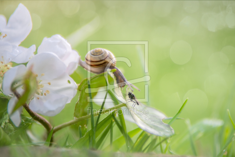 frei w&auml;hlbarer Bildausschnitt f&uuml;r Ihr Bild auf Glas-Schneidebrett