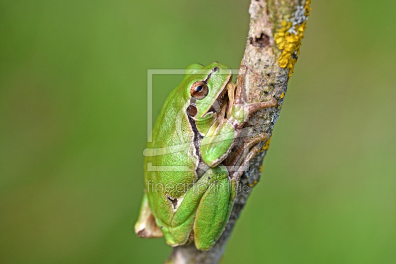 frei wählbarer Bildausschnitt für Ihr Bild auf Glas-Schneidebrett