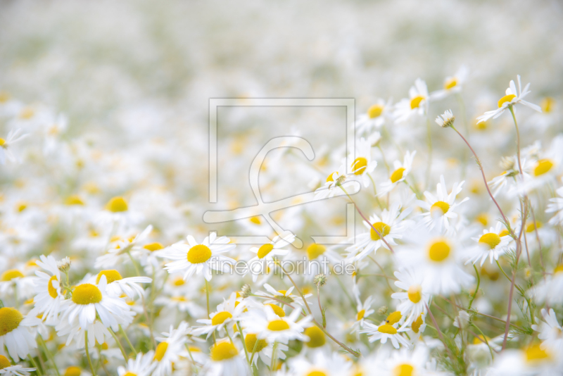 frei w&auml;hlbarer Bildausschnitt f&uuml;r Ihr Bild auf Glas-Schneidebrett