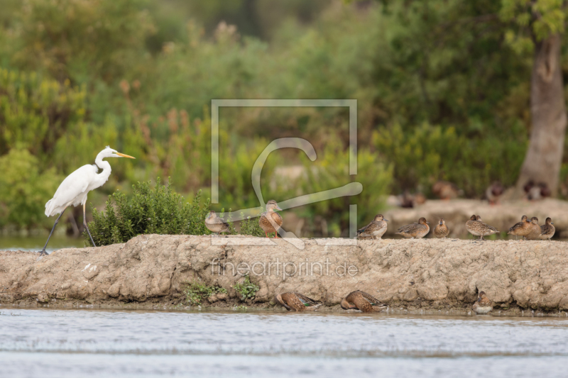 frei wählbarer Bildausschnitt für Ihr Bild auf Glas-Schneidebrett
