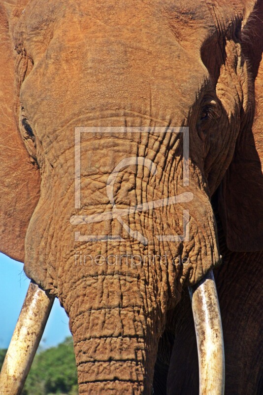 frei w&auml;hlbarer Bildausschnitt f&uuml;r Ihr Bild auf Glas-Schneidebrett