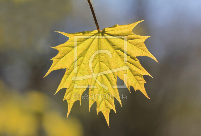 frei w&auml;hlbarer Bildausschnitt f&uuml;r Ihr Bild auf Glas-Schneidebrett