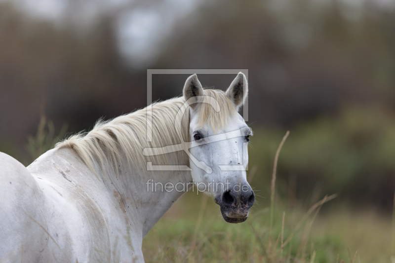 frei w&auml;hlbarer Bildausschnitt f&uuml;r Ihr Bild auf Glas-Schneidebrett