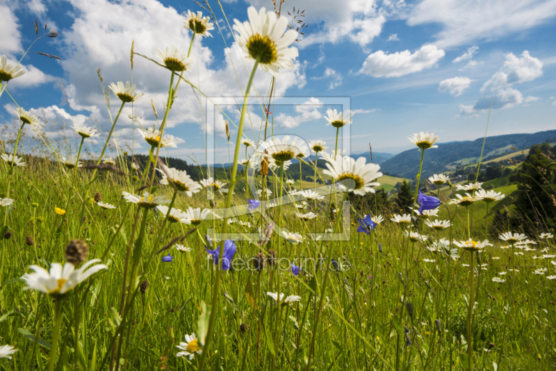 frei w&auml;hlbarer Bildausschnitt f&uuml;r Ihr Bild auf Glas-Schneidebrett