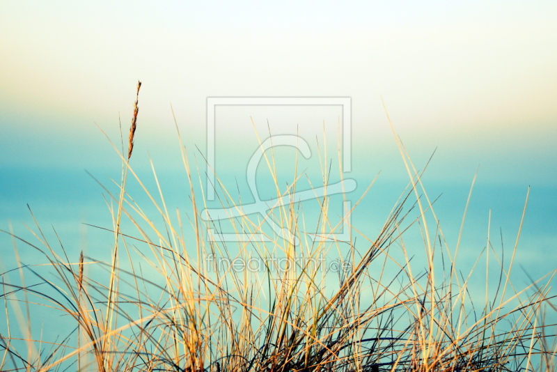 frei w&auml;hlbarer Bildausschnitt f&uuml;r Ihr Bild auf Glas-Schneidebrett