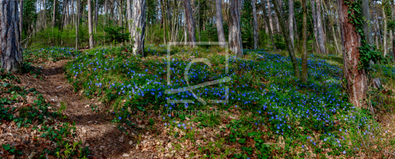 frei w&auml;hlbarer Bildausschnitt f&uuml;r Ihr Bild auf Glas-Schneidebrett