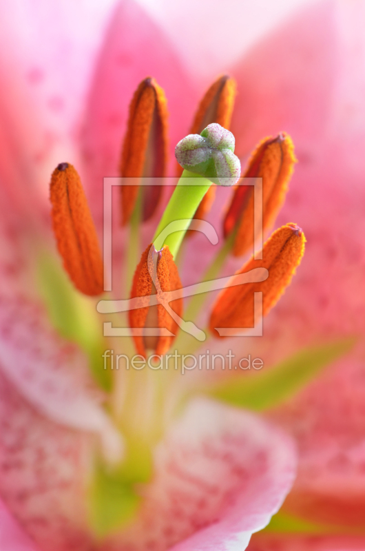 frei w&auml;hlbarer Bildausschnitt f&uuml;r Ihr Bild auf Glas-Schneidebrett