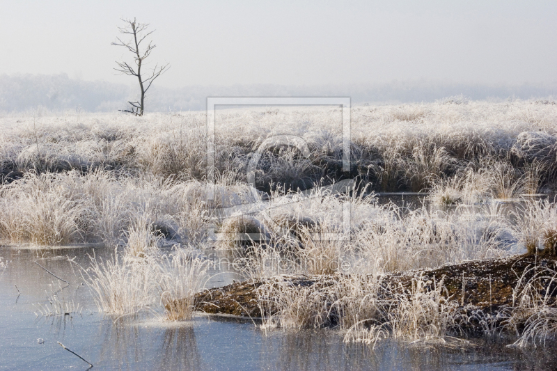 frei wählbarer Bildausschnitt für Ihr Bild auf Glas-Schneidebrett