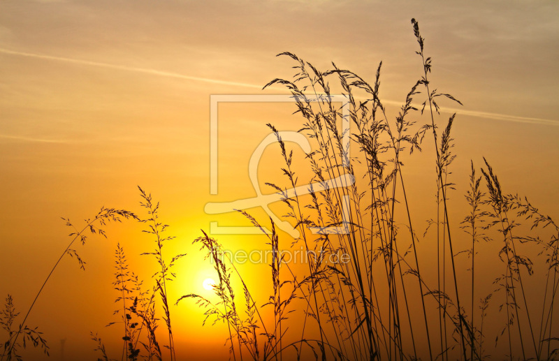 frei wählbarer Bildausschnitt für Ihr Bild auf Grußkarte