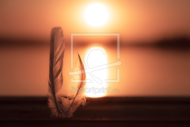 frei wählbarer Bildausschnitt für Ihr Bild auf Grußkarte