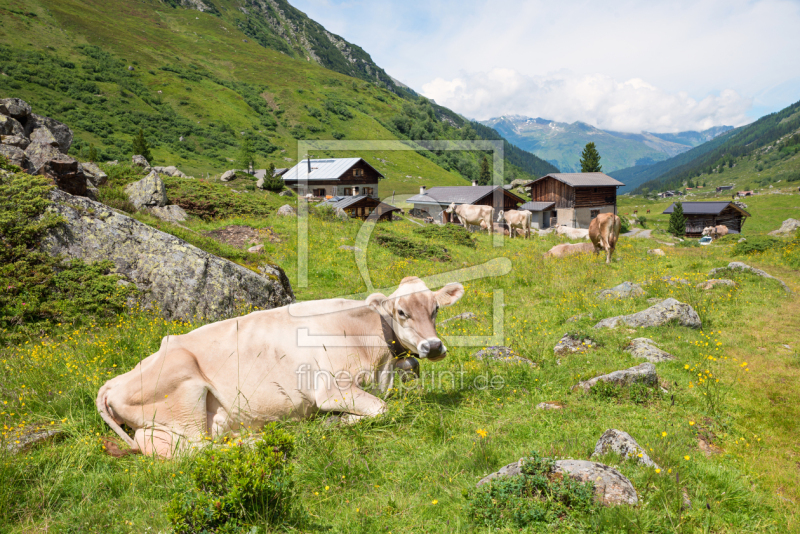 frei wählbarer Bildausschnitt für Ihr Bild auf Grußkarte