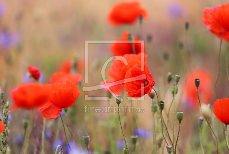 frei wählbarer Bildausschnitt für Ihr Bild auf Grußkarte