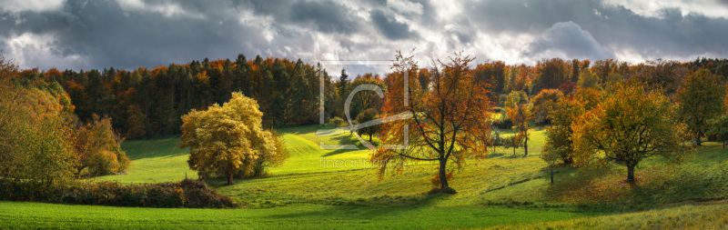 frei wählbarer Bildausschnitt für Ihr Bild auf Grußkarte