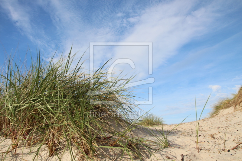 frei wählbarer Bildausschnitt für Ihr Bild auf Grußkarte