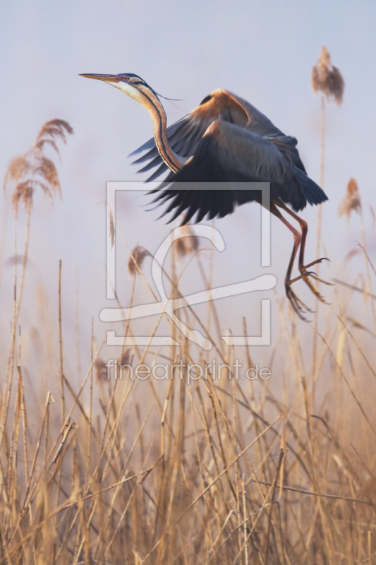 frei wählbarer Bildausschnitt für Ihr Bild auf Grußkarte