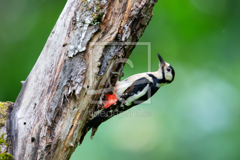 frei wählbarer Bildausschnitt für Ihr Bild auf Grußkarte
