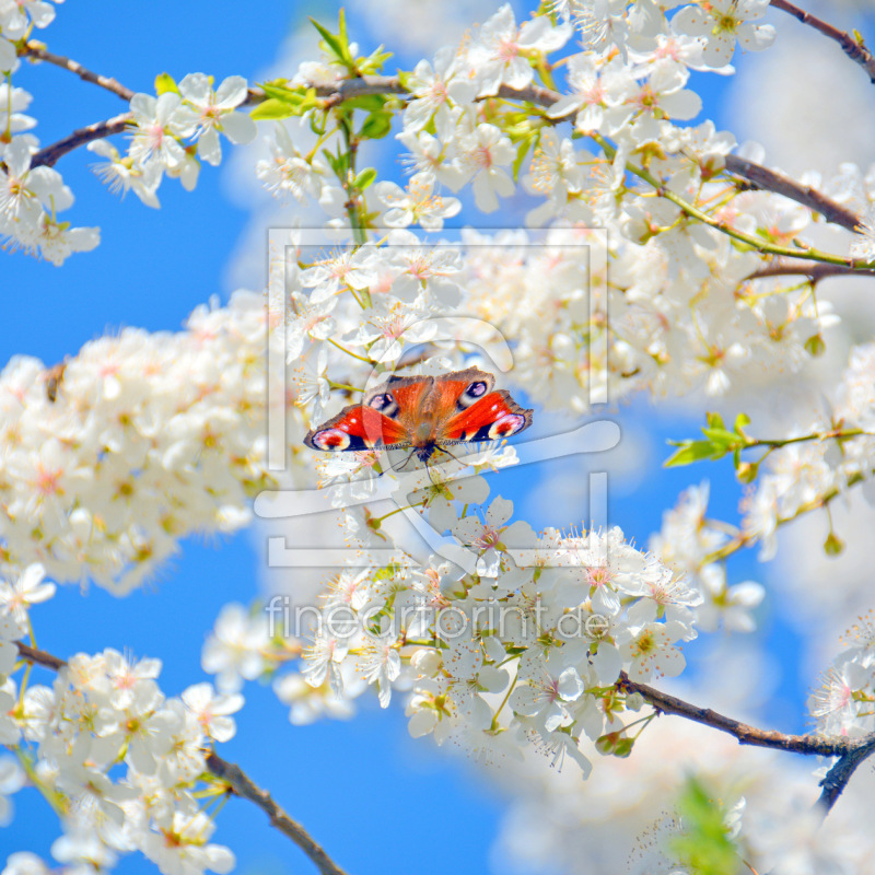 frei wählbarer Bildausschnitt für Ihr Bild auf Grußkarte