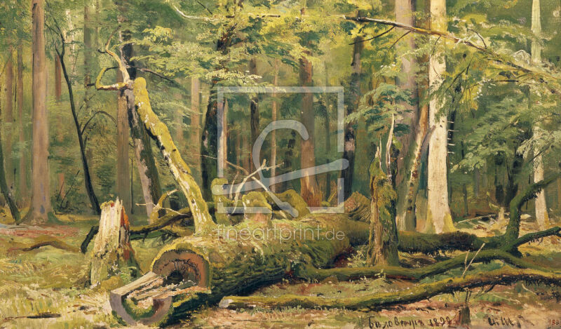frei wählbarer Bildausschnitt für Ihr Bild auf Grußkarte