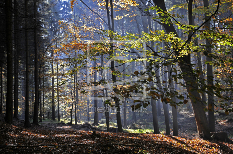 frei wählbarer Bildausschnitt für Ihr Bild auf Grußkarte