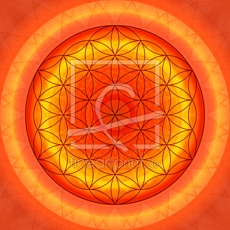 frei w&auml;hlbarer Bildausschnitt f&uuml;r Ihr Bild auf Kissen