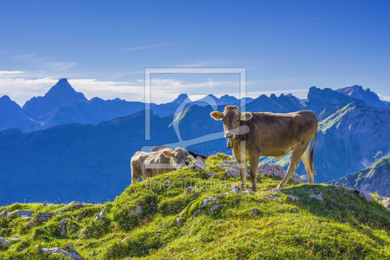 frei wählbarer Bildausschnitt für Ihr Bild auf Kissen