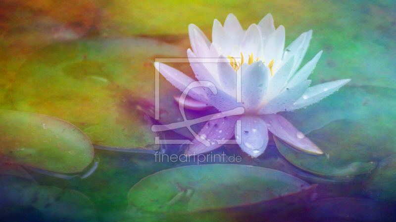 frei w&auml;hlbarer Bildausschnitt f&uuml;r Ihr Bild auf Kissen