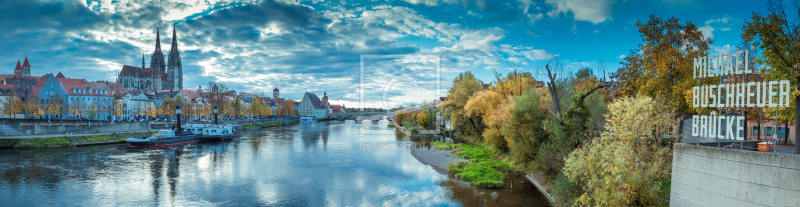 frei wählbarer Bildausschnitt für Ihr Bild auf Kissen