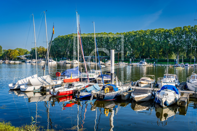 frei wählbarer Bildausschnitt für Ihr Bild auf Kissen