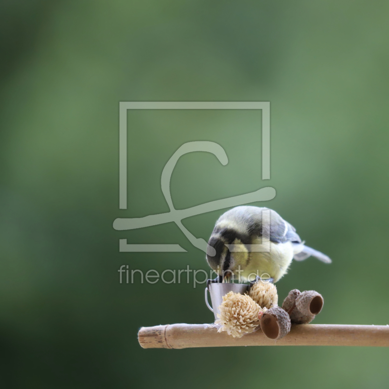 frei wählbarer Bildausschnitt für Ihr Bild auf Kissen