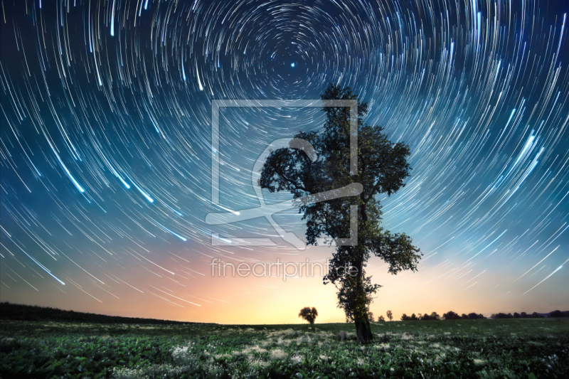 frei wählbarer Bildausschnitt für Ihr Bild auf Kissen