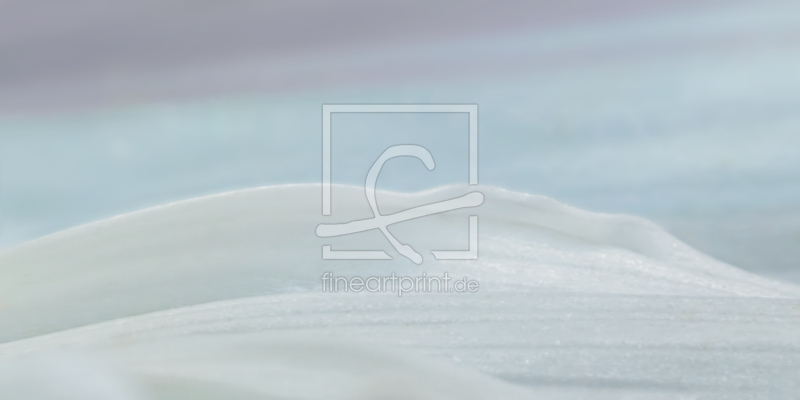 frei w&auml;hlbarer Bildausschnitt f&uuml;r Ihr Bild auf Kissen