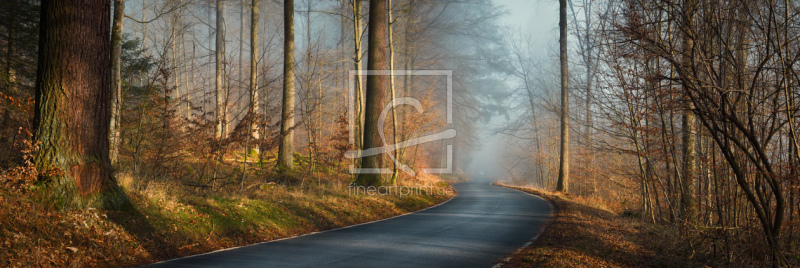 frei wählbarer Bildausschnitt für Ihr Bild auf Kissen