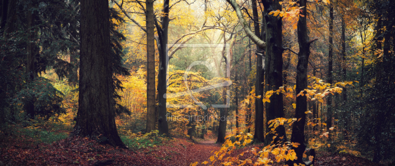 frei wählbarer Bildausschnitt für Ihr Bild auf Kissen