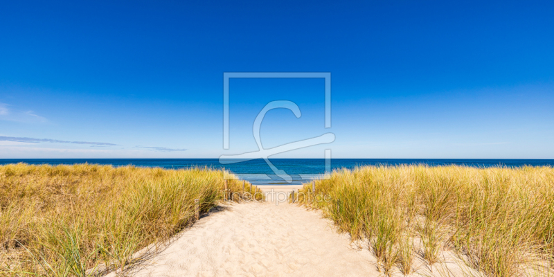 frei wählbarer Bildausschnitt für Ihr Bild auf Kissen