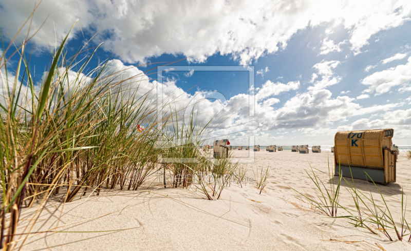 frei wählbarer Bildausschnitt für Ihr Bild auf Kissen