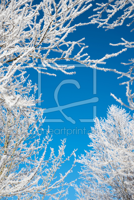 frei w&auml;hlbarer Bildausschnitt f&uuml;r Ihr Bild auf Kissen